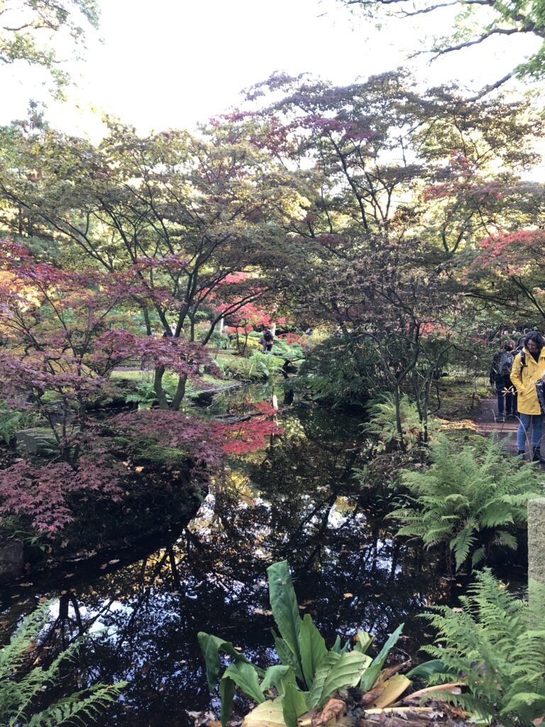Japanse Tuin Tuininspiratie