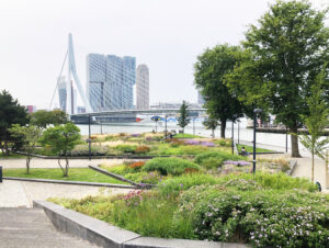 Piet Oudolf Leuvehoofd Rotterdam
