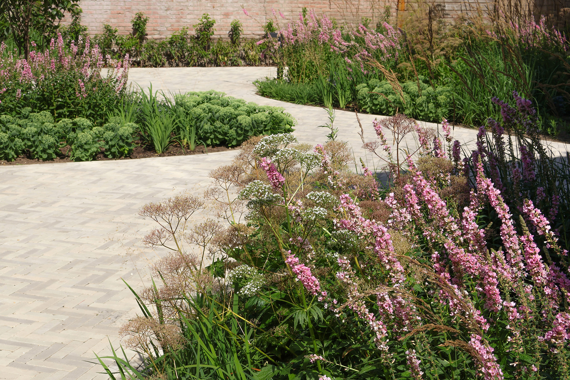 gemeenschappelijke ecologische tuin in Zuid Holland